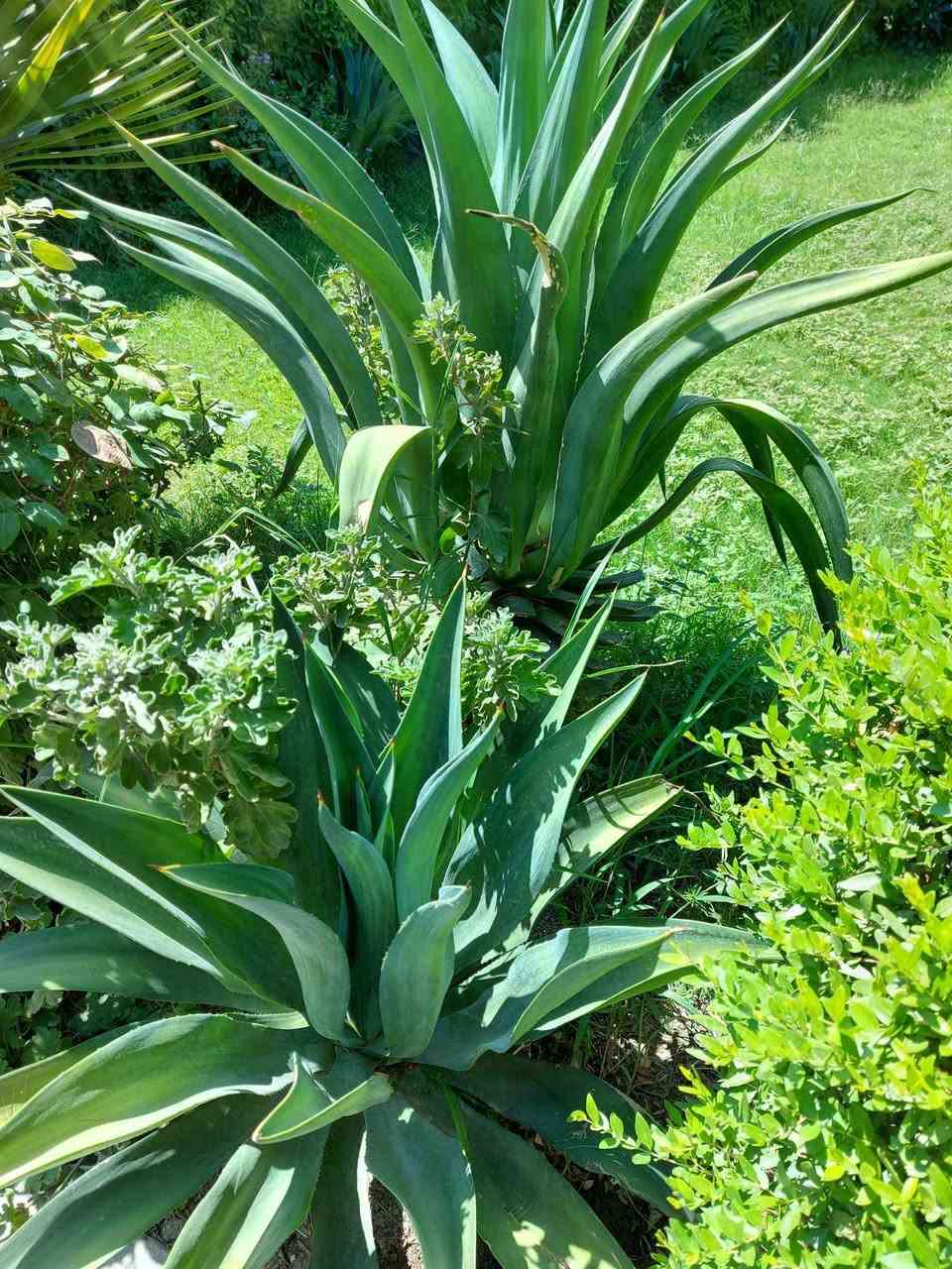 للحجز والاستفسار على رقم 

الواتس اب *********** بغداد, العراق
