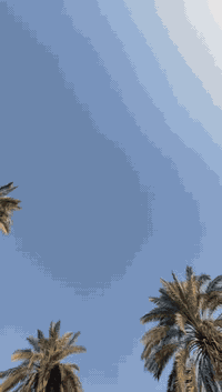 ابريجو البيع كفاله عامه تخم تاير مكينه وكير وكسن عل الشرط مصفره هيئه. وغرامات مو ديل 96امداور ثاني يوم.  رقم التلفون السعر. 66 وبيه مجال
***********.
