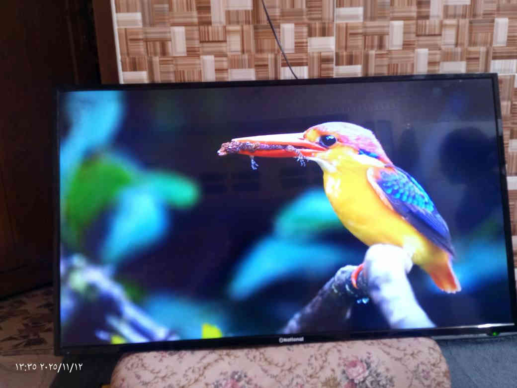 السلام عليكم ورحمه الله وبركاته 
بلازمة ناشنال  فووول مواصفات للبيع 
حجم 43
بدون عيب شرط مال بيت
نظيف جدآ 

- يوتوب 
تربط بلوبايل 
افلام اجنبية
افلام كارتون 
اغاني  ... الخ 

سعرها.      160.  الف. شوية بي مجال 

لستفسار خاص او

 اتصال 

*********** كركوك
