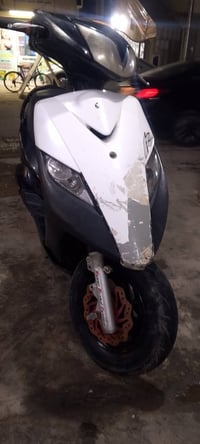 ثعلب • سلف • سكندريه