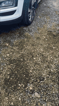 جاري تجهيز حاويه من امريكا 🇺🇸 الى مجمع قصي للاستفسار الاتصال *********** .
📌#الدفع عند الاستلام💶✋🏻
📌 # قطع غيار اصلية تفصيخ (وارد امريكي ) البيع بـ جملة والمفرد .

📌#قطع_غيار أصلية ومكفولة
🆗( test drive ) 🆗

📍يرجئ الاتصال في اوقات الدوام حصراً .

*********** 📲 #وتساب
***********
مجمـع قصـي لقطع الغيار الكورية .
 
👇🏼
قطـع الغيار الكورية الأصلية ، محركات ابواب ، قطع خارجية ، ويوجد توصيل لجميع محافضات #العراق 
🇮🇶🇮🇶🇮🇶🇮🇶🇮🇶🇮🇶🇮🇶🇮🇶🇮🇶🇮🇶🇮🇶🇮🇶🇮🇶🇮🇶🇮🇶

  مباشر👇

🇮🇶 #العراق 📍       

📍الــدورة 📍
📌الفرع الاول : حي المعلمين / مقابيل كاتب العدل .
📌الفرع الثاني : قريباً  .
  
📌اوقات الدوام⏰ 
📍 ٩ صباحاً 🌝 ٥ عصراً🌚 

 ⛔️في حال عدم توفر القطعه يمكننا تجهيزها من ٤ ايام الئ ١٥ يوم .

✅المصداقية هيه غايتنا
مواكبة لا تنتهي نحو الاحدث دائماً✅
ابقى دائما على تواصل ✅
هذه الخدمة حصرية من شركتنا✅
أسرع قبل نفاذ الكمية
