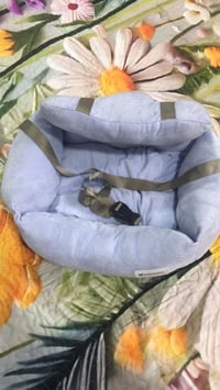 مال أطفال • مسند • بيت قطط