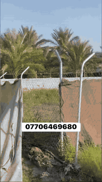 نصف دونم • طابو زراعي • الراشدية بغداد