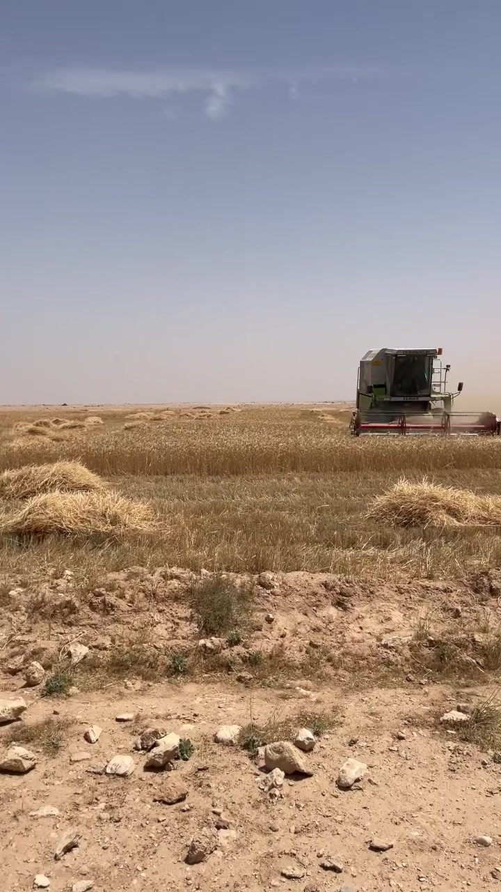 سلام عليكم جله لبيع باديه نجف قرب شارع سترتيجي ١٠٠دونم  كاع داير مدايره حمرني اتصال ع رقم ***********
