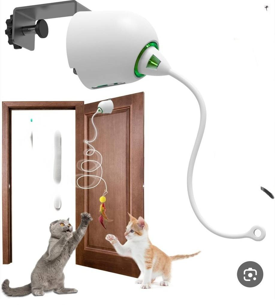 شلعه العاب وأشياء قطط وكلاب
10 آلاف على أول تم
متوفر توصيل


**إذا كنت صاحب هذا الإعلان وتريد حذفه لأي سبب، رجاءا أرسل رسالة إلى الدعم الفني**