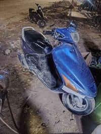 درجه ٢٥٠ • كله شغاله • دوانيه بل جلبيه