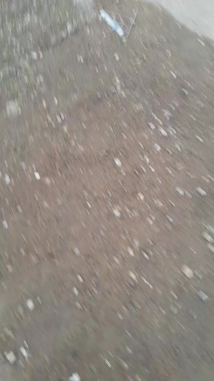 قطعه ارض للبيع زراعي عقد ٣٥ بغداد جسر ديالى شارع الخدمي العريفيه قرب صادق الكصاب  او اراوس بيت كلشي واضح بل تصوير كامل الخدمات مي كهرباء تبليط ***********
