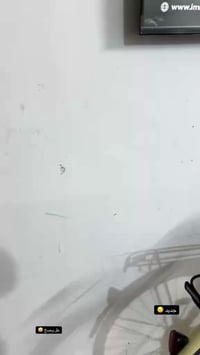 باسكل • موديل ٢٢ • فيه مجال