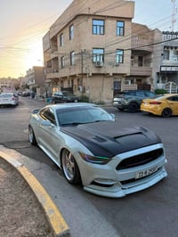 موستنك GT • تراك بكج • ٢٠١٦