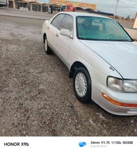 مكفولة • لا ضربة • رقم كركوك