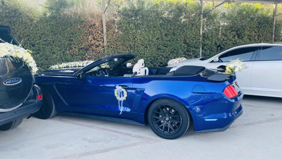 Mustang 2016 v6 
سعر بلاش 130$ مجال بسيط 
گير محرك اكسل مكفولات

صدر امامي خلفي جديد مبدلات
كهربائيات شرط
الاضافات
بجم محدث كامل شيلبي
لحيه شيلبي 
جنح شيلبي
دوسات شيلبي 
داخل ابيض جلد
ادامه كامله للمحرك
بلاكات جديد 
فيتبمب جديد 
ماكو ولا كلوب بالدشبول
رقم سنويه جديد 
سيارة بيها صبغات ابيع عام وهيه مو عام
حادث فقط جاملغ 
.
مكان سياره بابل
0783 552 5588‬ //*********** 
سياره بدون اي نقص
