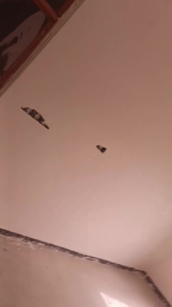 الباخ جص سمنت وبياض شغل درجة وإلى رقم الواتساب *********** متفرغ

