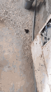 سلام عليكم دار للبيع او الايجار
المكان الصويره قريه فلسطين نهايه شارع مدرسة الزهير للبنين 
المساحه (180-200م) 
غرفتين نوم 
صالة كبيرة 
صحيات كاملة 
طرمه كبيرة
واستقبال
ترك عرضه ١٥٠سم 
للتواصل ***********
