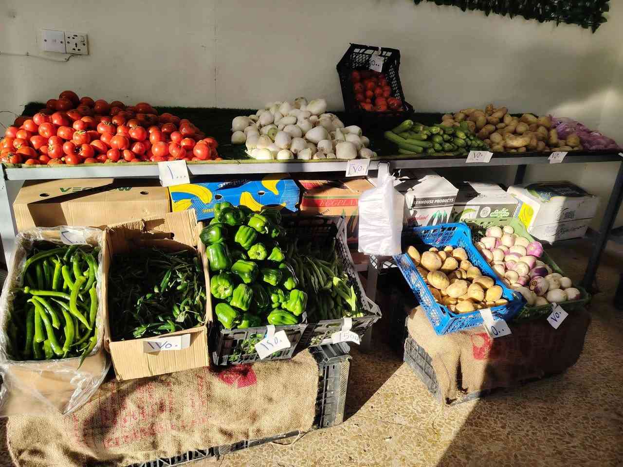 ميوزه للبيع العدد 5 بيهن تايرات السعر 250 قفل مكاني طريق بغداد


**إذا كنت صاحب هذا الإعلان وتريد حذفه لأي سبب، رجاءا أرسل رسالة إلى الدعم الفني**