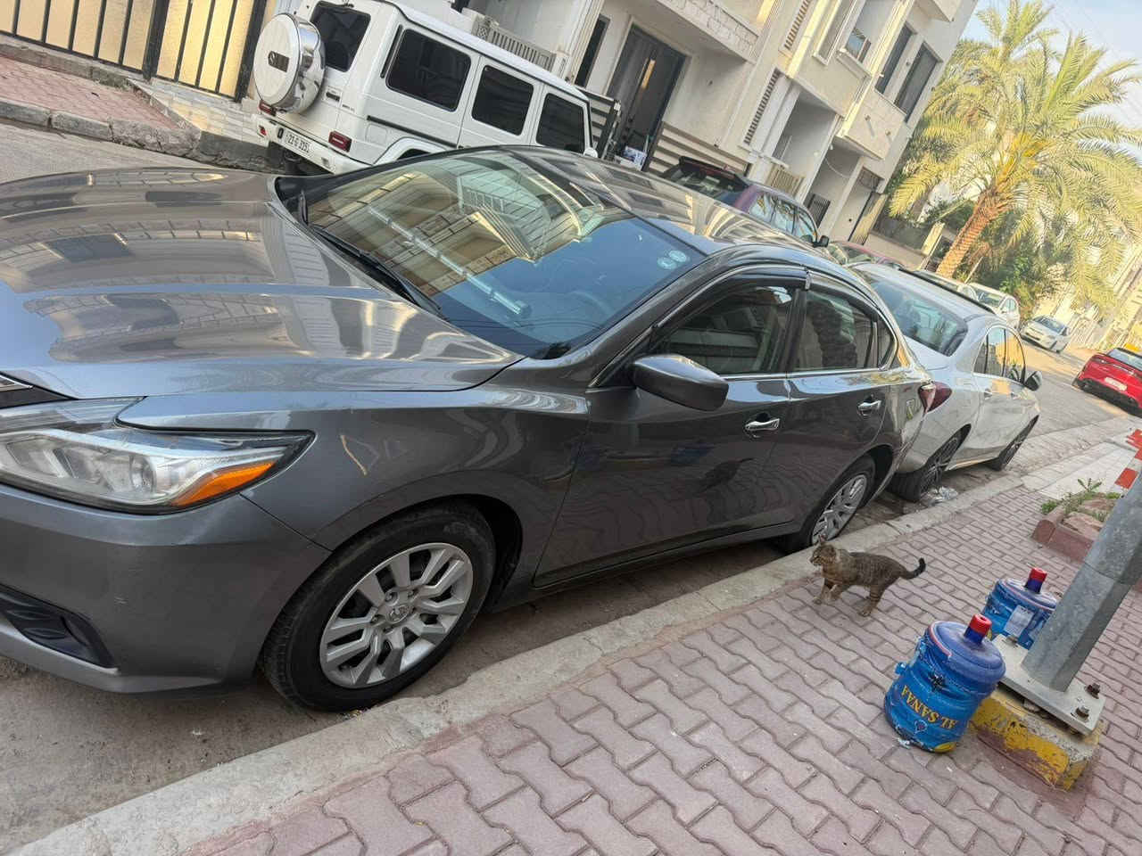نيسان التيما. ٢٠١٦. بيها صبغ فقط البنيد  رقم اربيل باسمي محرك كير. تخم تاير. تدفئة تبريد  نظيفات  السعر. ١١٥ وبيها مجال أو. مراوس. بكورلا.  أو سوناتا نظيفات
رقم صاحب السيارة *********** اني مكلف بالنشر
