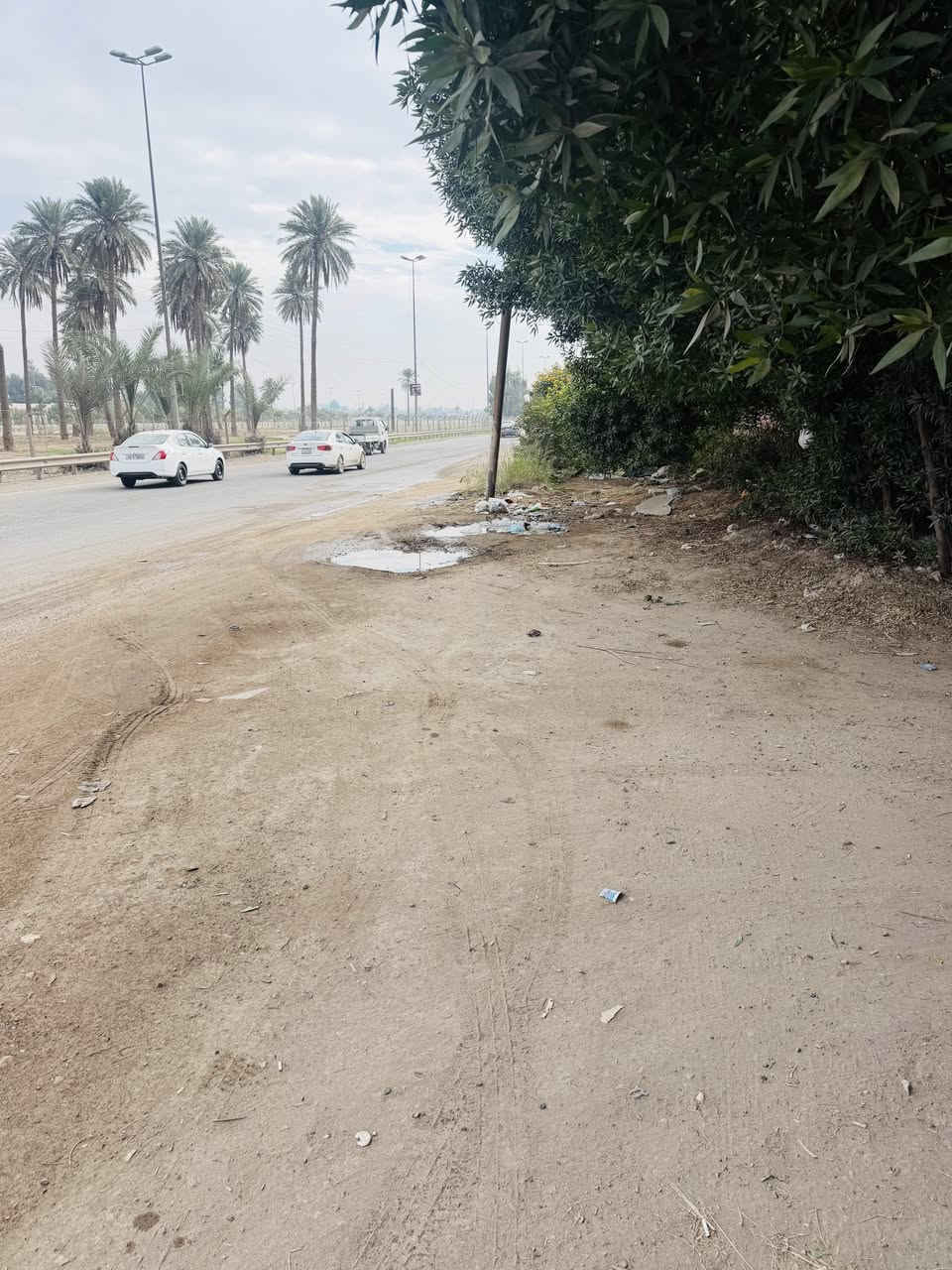 ‏السلام عليكم ورحمة الله وبركاته
بيت مساحة 200 متر الواجهة 12 ونصف ونزال 16 

الوجه على شارع القناة الرئيسي قبل مدخل صليخ 600

و خلف البيت شارع 6 متر 

  (((أمام البيت تشجير مسافة 50 متر نزال بالطول )))

… يحتوي على أربع سويت …

كل سويت غرفة ومطبخ وصالة وخدمات 

(زراعي سند 25)

***********
