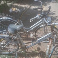 باسكلات • واحد كامل • چوب امامي مثقوب