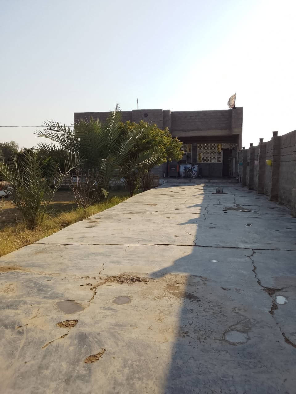 السلام عليكم بيت للبيع عبور الجسر الفرنسي قريب على السيطرة الاتحادية يبعد عن الشارع العام مسافة المساحة الكلية 625 خدمات تبليط وكهرباء قرار 117 رقم الهاتف *********** البيت كامل من كلشي ومرتب
