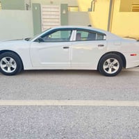 ويل • حجم 17 • مراوس