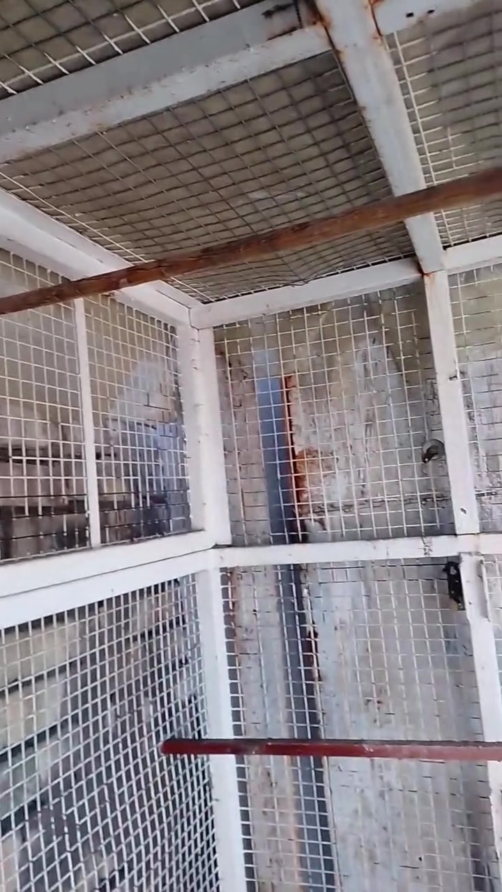 سلام عليكم
قفص حديد ثقيل 
البيع مكان بغداد الشعب 
سعر 250 وبي مجال
متواجد خاص
او انتصال ***********
