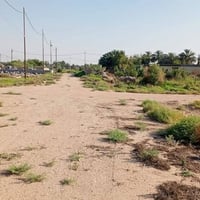 قريه واحد • أرض زراعيه • ٢٠٠م