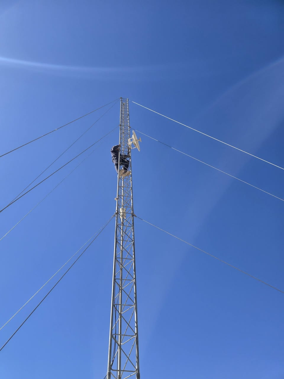 تم فتح ونصب ١٥ م كربلاء.
***********
علاء
