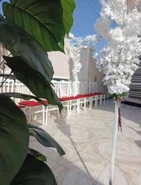 يتوفر  لدينا  دخوليه تخرج  دخوليه اعراس  وجميع كوشات  للحجز والاستفسار...