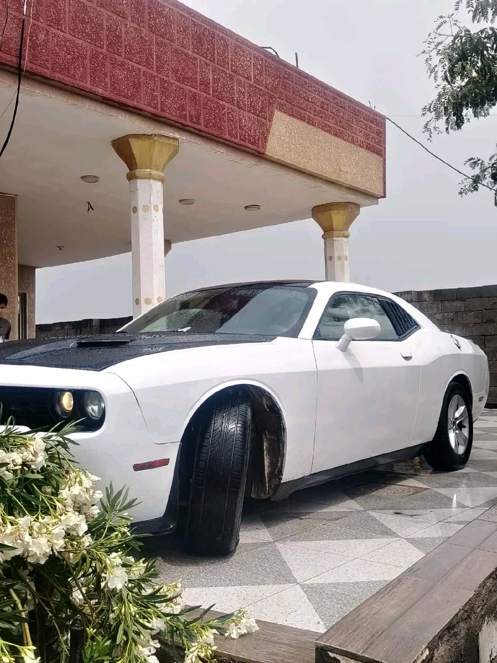 Challenger 2013 v8
RT Hemi 
 
كير مكينة اكسل شرط 

صبغ حزام 
 حادثه جاملغ عكس السايق وشويه من البنيد 
سيارة بدون دواخل نهايا

مواصفات 

شفتات ستيرن
كشنات جلد ،كشنات كهربا
شاشه جبير 

طخم امامي خلفي جديد
تايرات ووياله نظاف 
دهن وفلتر وشوته جديد
بولش جديد

وبعد هواي مواصفات 
ماشيه 180  
رقم ذيقار مشروع وطني شرط التحويل 
مكان سيارة واسط قضاء الصويرة 
سعر 105$وبي مجال 
رقم *********** بي واتساب