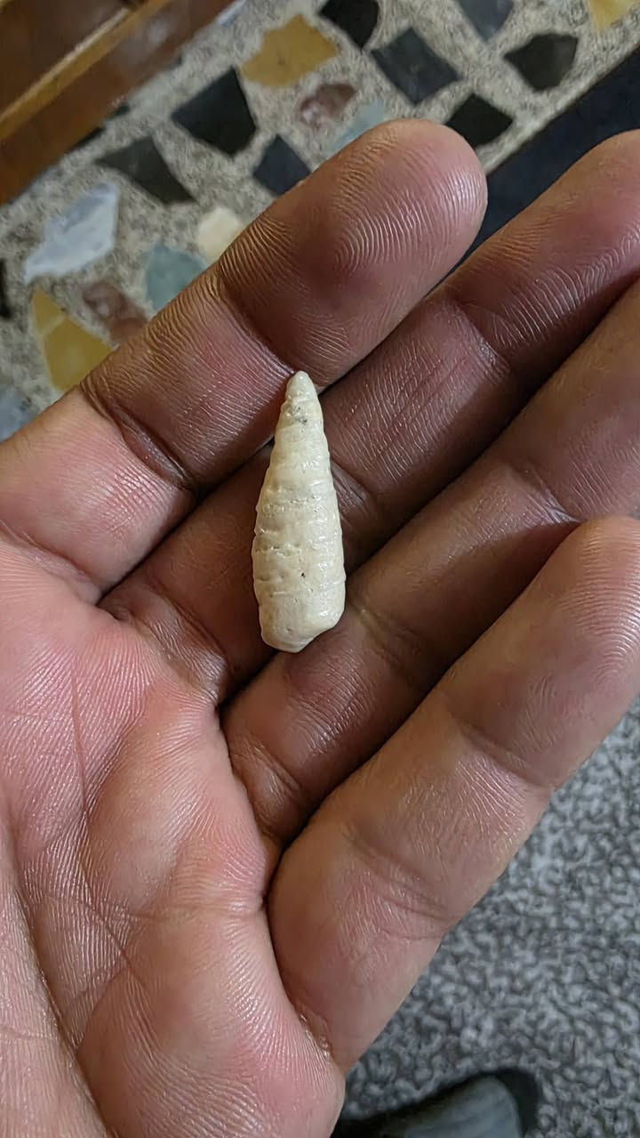 عطف لوي قديم جدن للبيع مكاني بغداد مدينه الصدر توصيل لا يوجد سعر جوه بلاش ٢٥ الف


**إذا كنت صاحب هذا الإعلان وتريد حذفه لأي سبب، رجاءا أرسل رسالة إلى الدعم الفني**