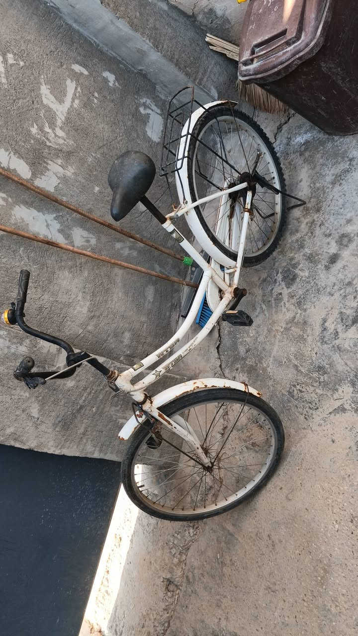 اسلام عليكم ورحمة الله وبركاتة بيسكلات 2بسعر واحد للبيع ثنينهن ب60 قفل فردي مابيع مكانهن التاميم للتواصل‏‪***********‬‏
