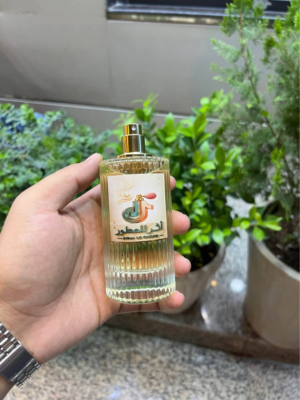 عطور تركيب مستوحاة من عطور ماركة بغداد, العراق


**إذا كنت صاحب هذا الإعلان وتريد حذفه لأي سبب، رجاءا أرسل رسالة إلى الدعم الفني**