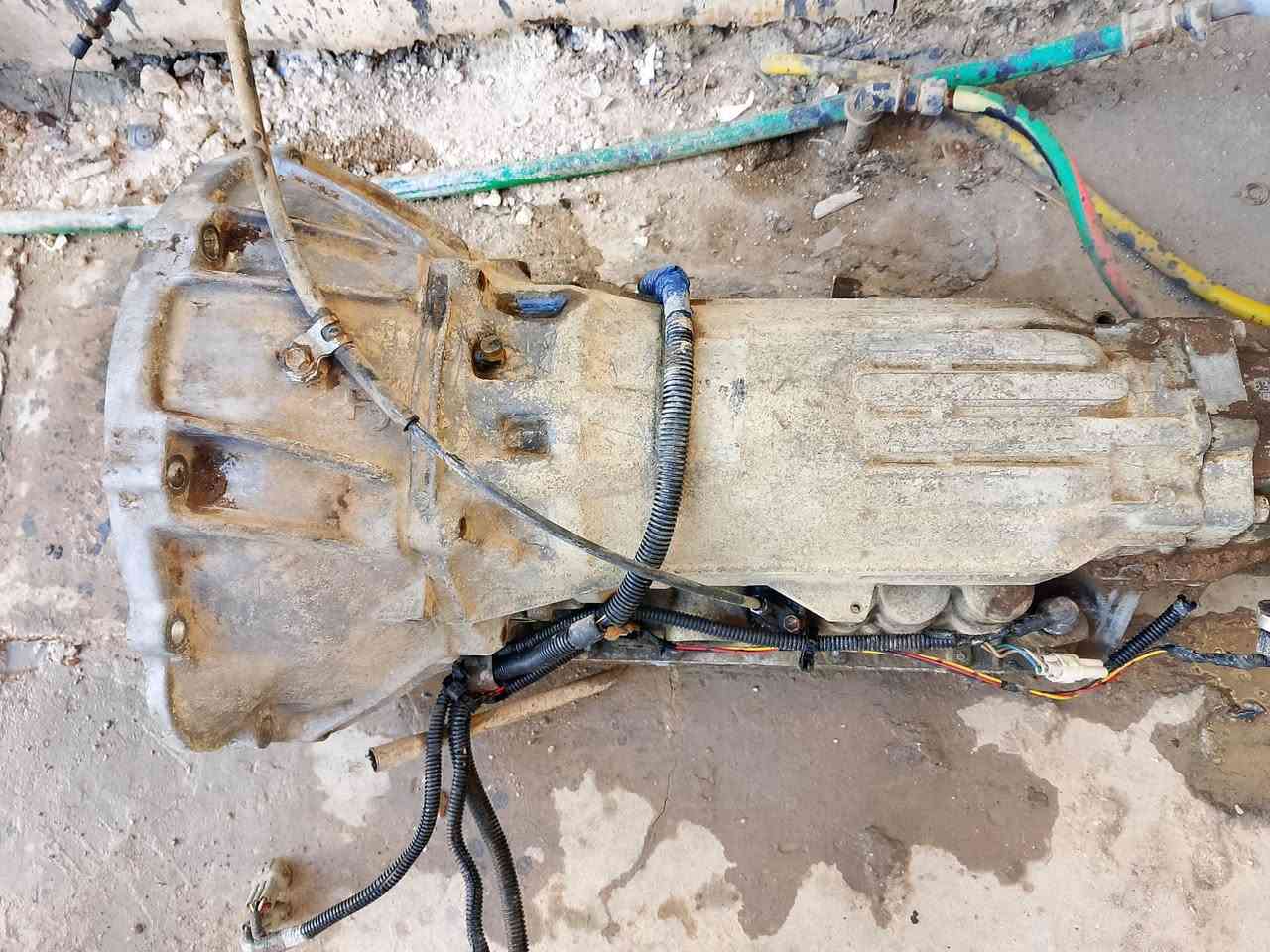 سلام عليكم
كير بطه ٢٥٠٠سعره ٣٥٠ضمان ٢٠يوم
ديلكو اوايرات سعرهن ٥٠الف ضمان
عقل ٣٠٠٠ديلكو سعره ١٠٠ضمان
نوزلات ٢٥٠٠سعرهن ٦٠الف ضمان
سلف سعره ٣٠الف
باور اخو الجديد. سعره ٦٠الف ضمان شهر
كلج مروحه وال مروحه سعرها ٥٠ضمان
باور بريك والعمبار ٥٠ ضمان 
ثلاجه ٣فيش تراك رياضي سعرها ١٠٠الف 
عنواني بغداد الحسينيه مال راشديه 
*********** مكلف بل نشر
