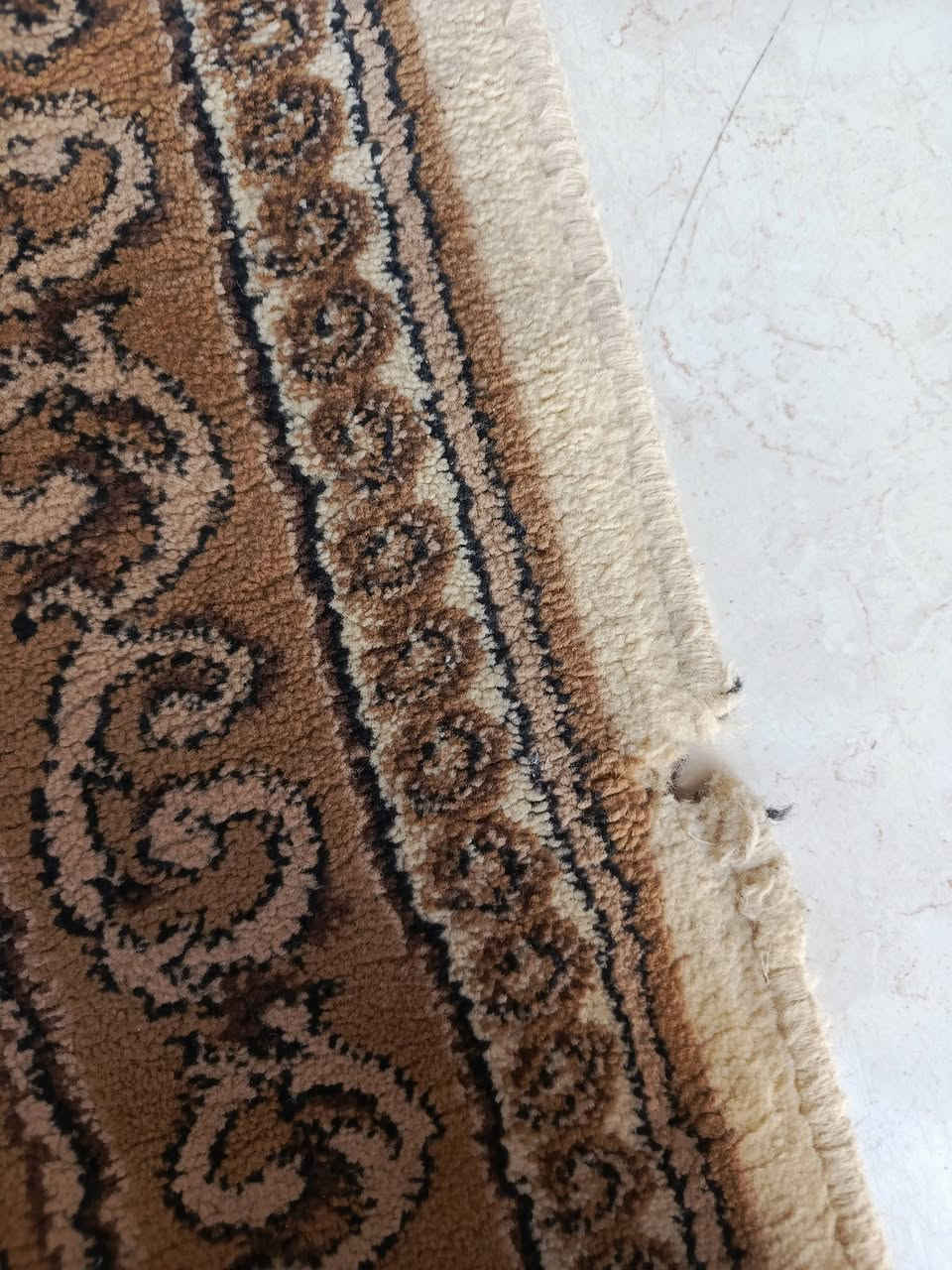 سلام عليكم🙋🏻‍♂️
مدات عدد 4 كل زوج 2 تخم وشكل واحد😍

قياسات ثنين بيهن كل وحده 5 متر فول نضافه😍

وثنين بيهن كل وحده 6 متر فول نضافه 😍

والسعر عل عروض ليوم الزوج عل 50 ألف🫡🔥

جلؤلاء مدخل سيطرة المعسكر  بدخوليه بلظبط عل ايدك الايمنه 🌺 مزاد ارشد الدهلگي
꧁***********꧂
