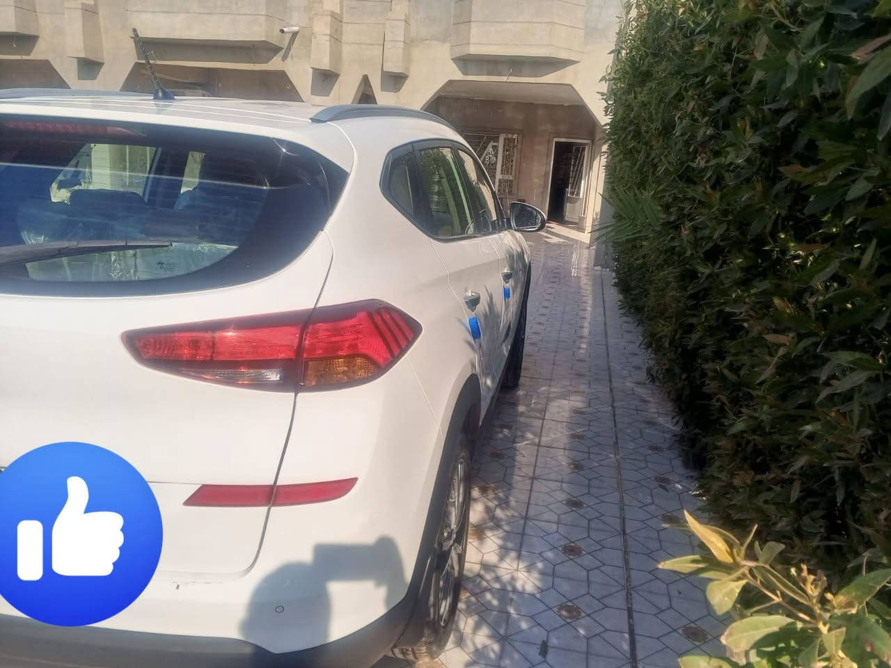 سلام عليكم
توسان چيكي . جاهزه . مكفوله ملاحظات بسيطة جدا . بدون صبغ 
2020 . رقم بغداد . بأسمي . تخم تابر صدر جديد . السعر  188
***********
***********
