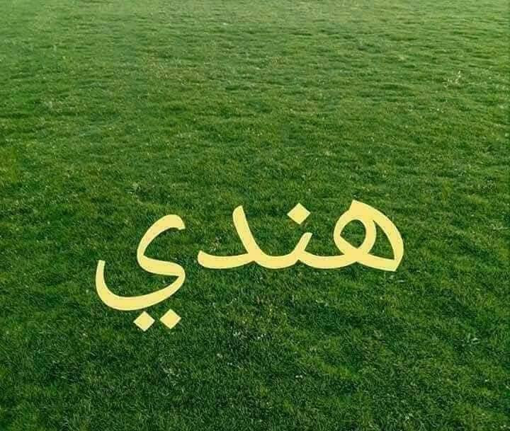 يوجد ثيل هندي درجه اولئ كذلك فرنسي كذلك اسباني مستعدين تجهيز كافه مشاتل دوائر دوله والملاعب يوجد كادر زرعه ثيل بطريقه صحيحه الخاص مفتوح أو عل رقم ***********
