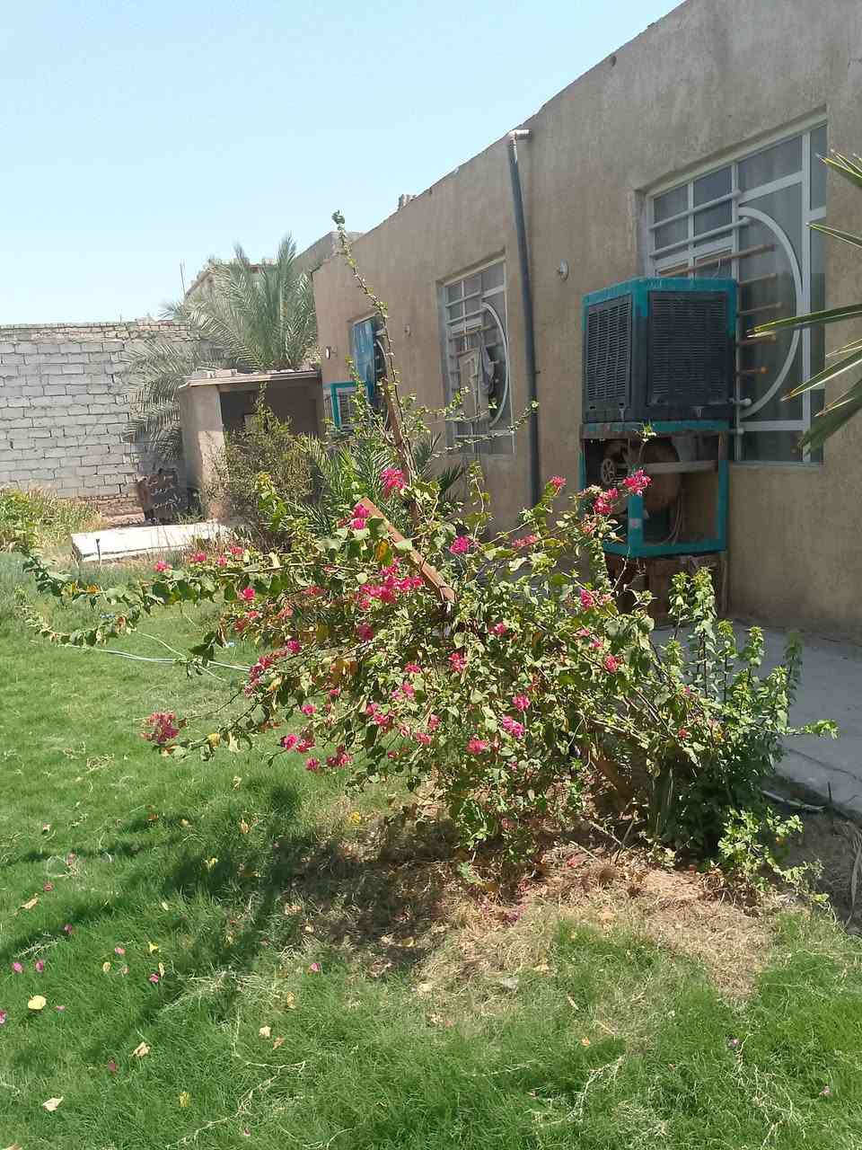 بيت للبيع في النجف الأشرف مقابل المطار مساحته ١٢٠٠م مشمول قرار ٣٢٠ يحتوي على غرفتين ٦في ٨ و٦في ٤ صاله ٦في ٤ ومطبخ ٦في ٤ تخاريج داخلي وخارجي مع محيط مساحه ٤٠٠ متر مضيف بناء درجة اولى مساحه ١٤ في ٥ مع حديقه ٣٠٠ متر كراج خاص كل الخدمات متوفره *********** أو *********** للاستفسار عن السعر وكل التفاصيل
