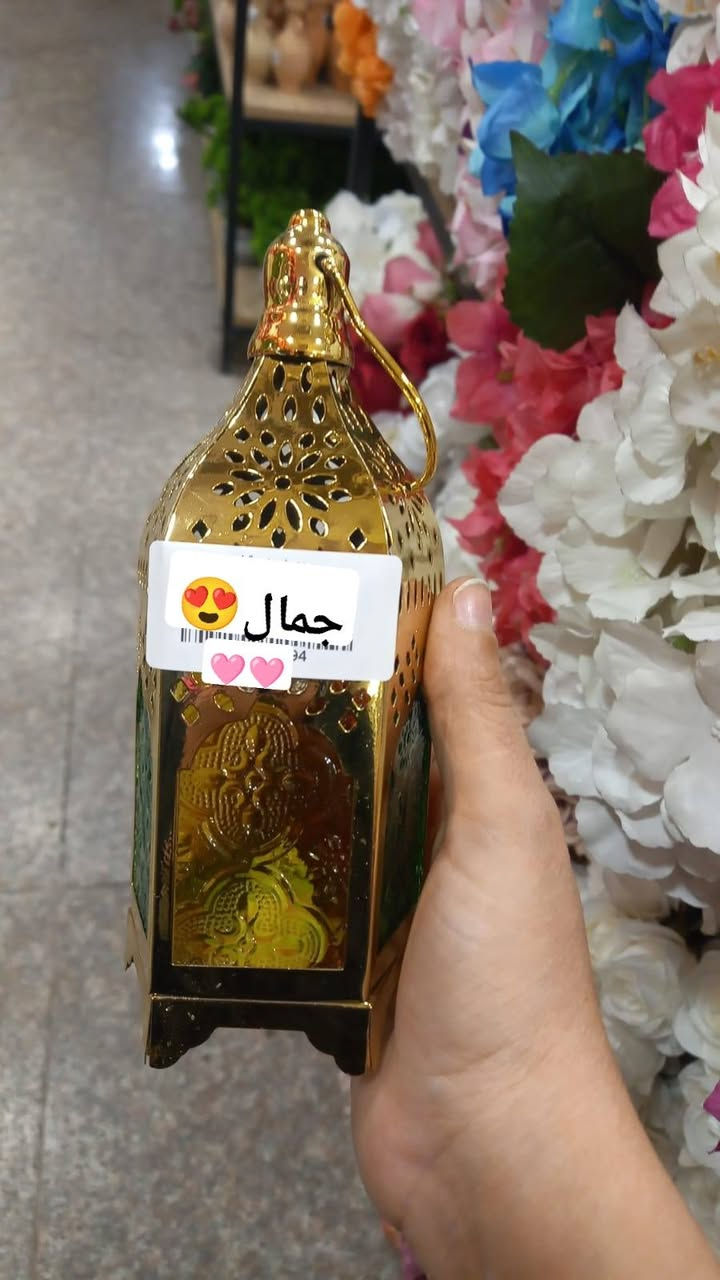 وجه كوشات و مقدمات شغلات احلى رمضانية🩷🩷


**إذا كنت صاحب هذا الإعلان وتريد حذفه لأي سبب، رجاءا أرسل رسالة إلى الدعم الفني**