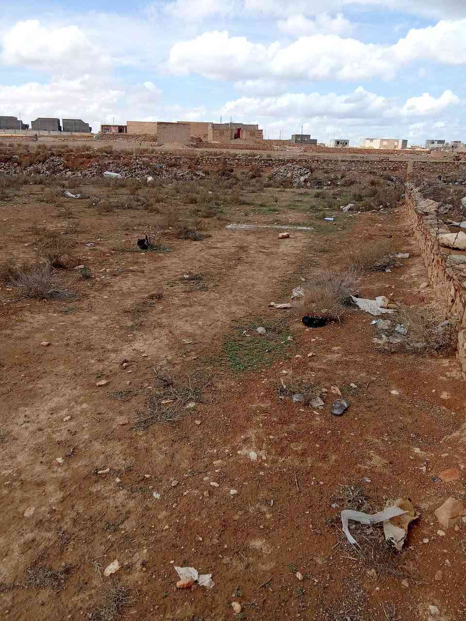 سلام عليكم ورحمه الله وبركاته توجد قاع للبيع 2000 متر الموقع وادي علي مجاوره المزرعه مال جواد ***********
