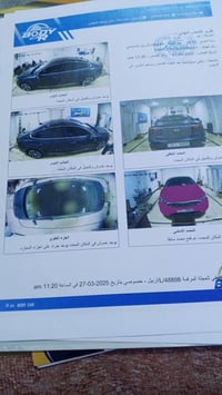 كادنزا • ٢٠١٨ • رقم اربيل