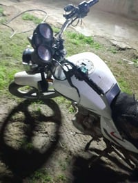 ارنوب • ٢٠١٤ • ٢٠٠