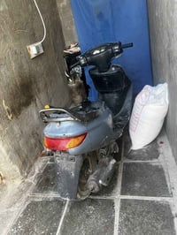 فراشة • عطله • كابريته جديد