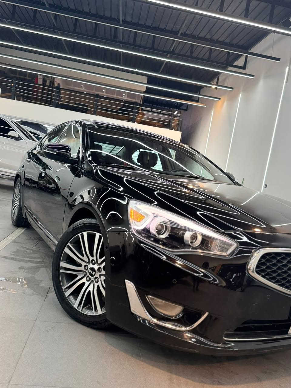 السلام عليكم ورحمه الله وبركاتو
كيا كادنزا ٢٠١٤ فول مواصفات للاخير ماكو مواصفة ما بيه 

بانوراما جلد كشن هيتر و تبريد برده تصعد و تنزل ويا البك حساسات رادار كل شي فول للاخير

ربع جاملغ امامي صبغ ماشية ١١٠ الف مايل جديده جدا السيارة و ادامه بشكل مستمر بدون اي نقص جاهزه من كل شي
السعر 128 وبيه مجال بصيط 
السيارة جاهزة من كل نواحي
متواجد بغداد العامرية
***********
