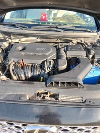 سوناته • ٢٠١٨ • وارد أمريكي