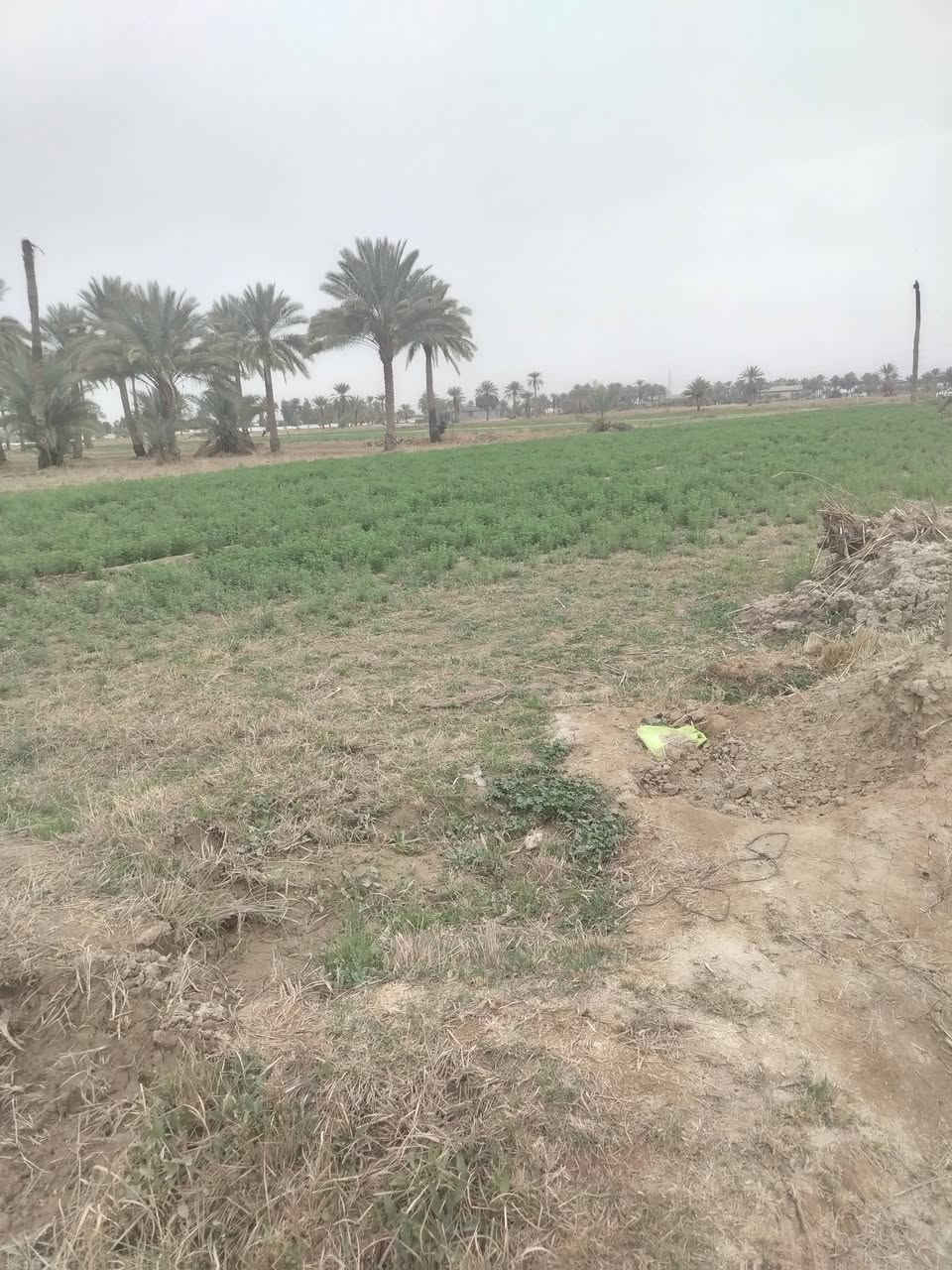 للبيع مساحه ٢٥٠٠ متر دنم مكان كربلاء اطوريج خدمات فول تبليط وماي وكهرباء تحويل بسم المشتري ***********
