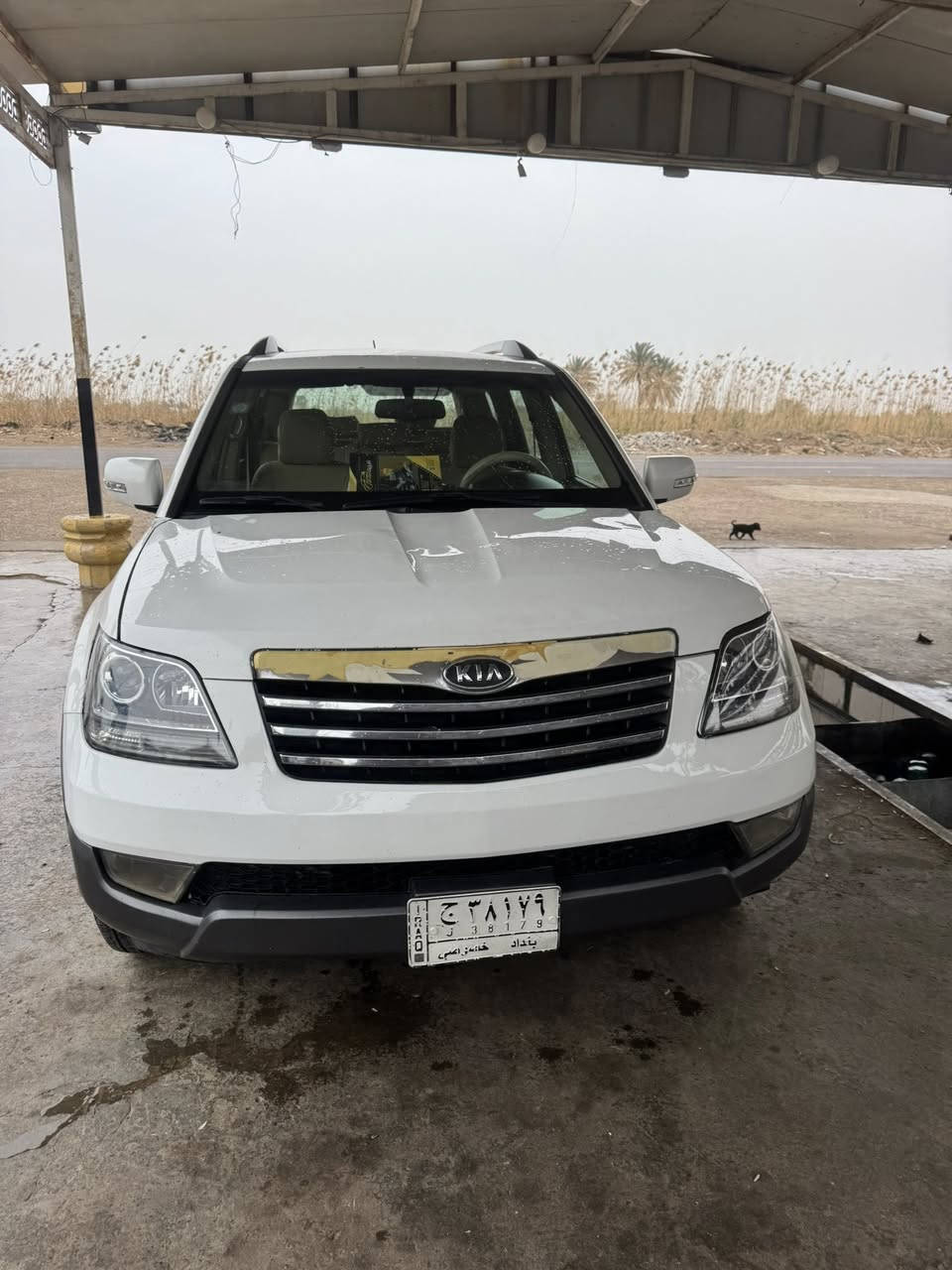 سلام عليكم 
مهافي 2013 رقم بغداد  سنويه جديده 
سياره جاهزه من كلشي صدر وميكانيك 
مواصفات معروفه حته فتحه 
مكانها ديالى الخالص 
سونار موضح بصور 
سعر 145 وبيها مجال 
***********
