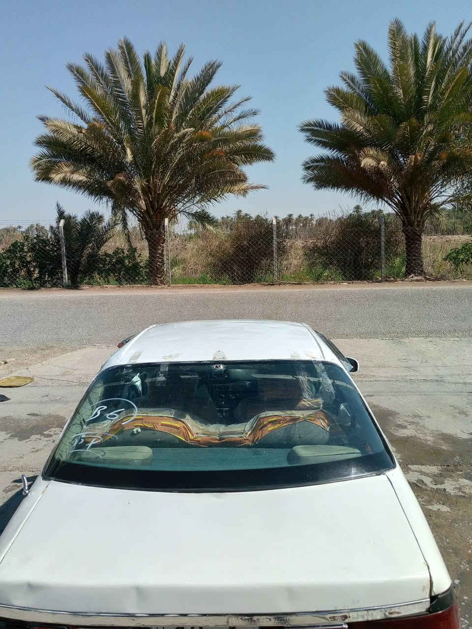 السلام عليكم سياره برنس سياره حلوه شوفت عينك رقمها كربلاء وراعيها اريد مداور مكينه وكير حلوات كهربائيات كلها شغاله الموديل 1995 والثانويه مشروع وطني الى 27 سياره جاهزه من كل شيء والشراي خير ويتدلل وهذا رقم *********** مكاني كربلاء طويريج
