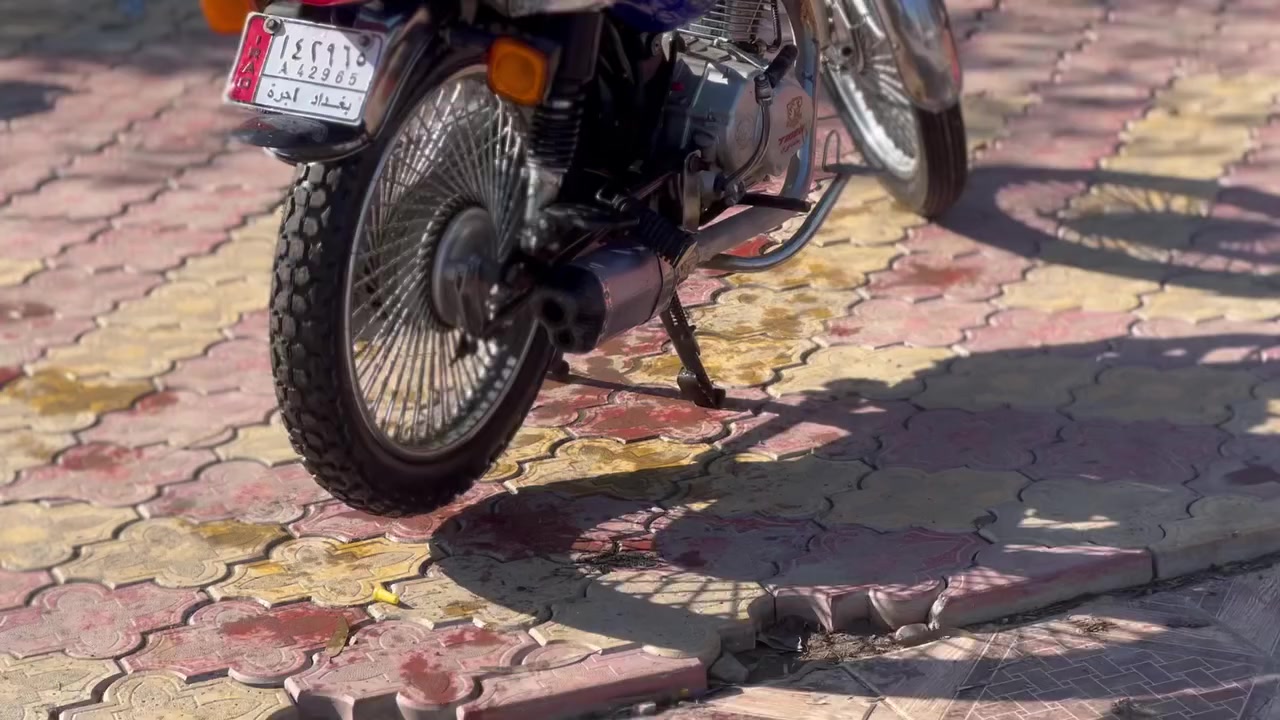 شرط كلام ما يكفي رقم ***********
سعر 600بي مجال
