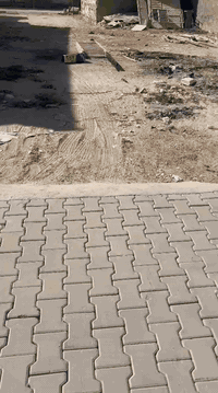 خلف منتزه النخيل • ١٢٠م • ملك صرف