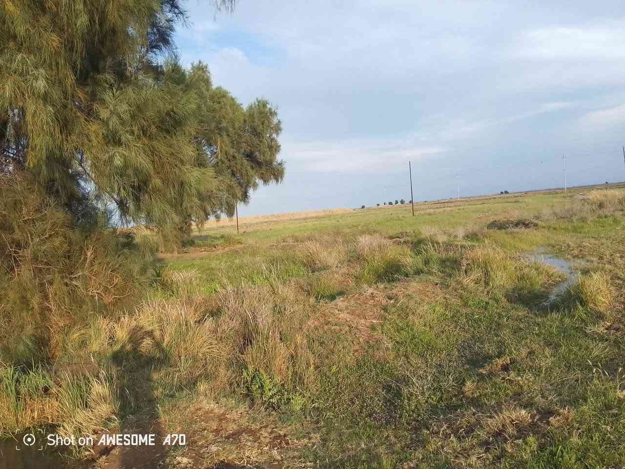 ارض زراعيه البيع 30دونم مع قطاسات  الشراي يتصل على هاذه الرقم ***********
