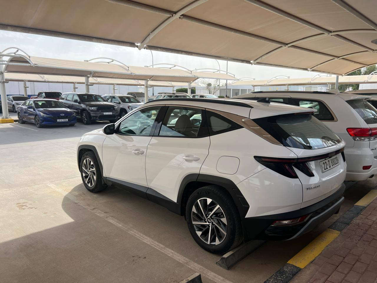 سلام عليكم
للبيع سياره توسان
وارد خليجي
تحكمات ستيرن مانع انزلاق
بصمه تشغيل عن بعد
موديل 2024 
ماعده شبر بارد بجنطه 
السياره جديده 
رقم اربيل 
الشراي يتصل عله الرقم 
***********
بي وتساب
